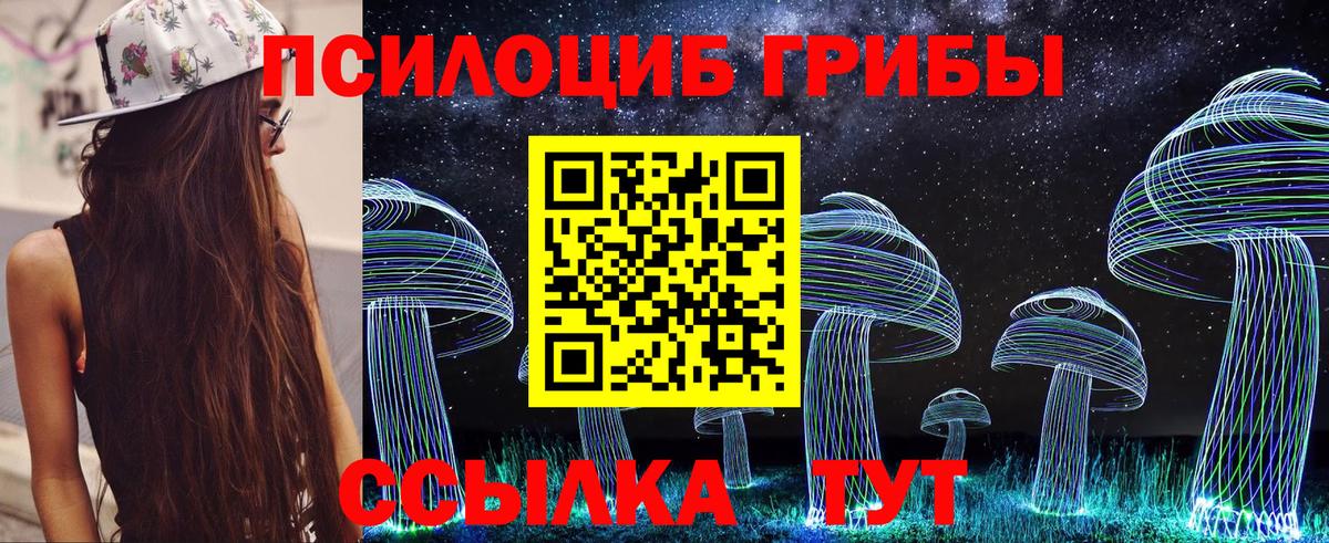 Мичуринск  Галлюциногенные грибы GOLDEN TEACHER  Вход с VPN 